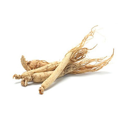 Ginseng Root